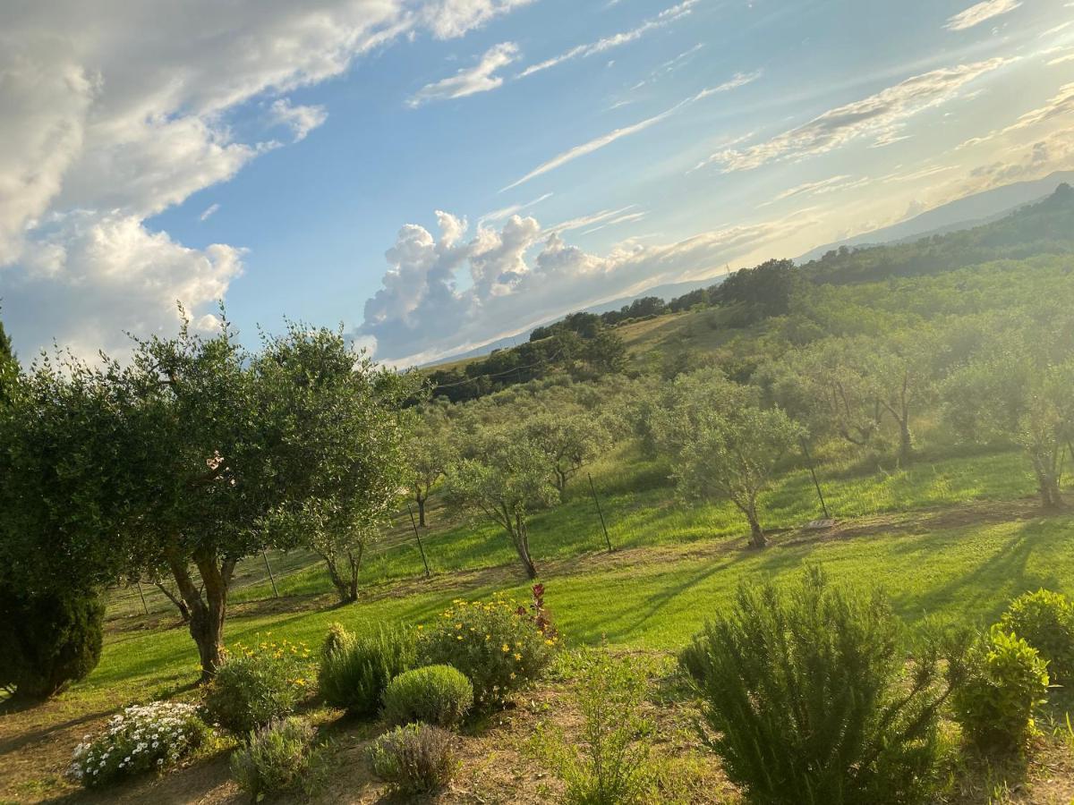 Agriturismo Palazzo Val Del Sasso Villastrada  Exteriér fotografie